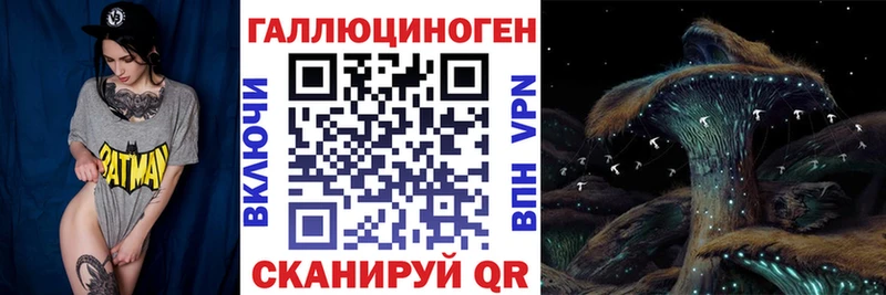 закладки  Усолье  Псилоцибиновые грибы Psilocybine cubensis 
